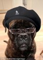 Samuel Jackson